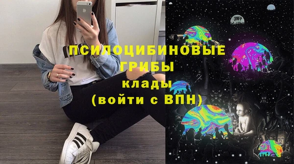 дурь Алексеевка