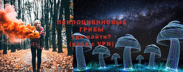 дурь Алексеевка