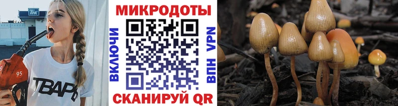 что такое наркотик  Каневская  Псилоцибиновые грибы мухоморы 